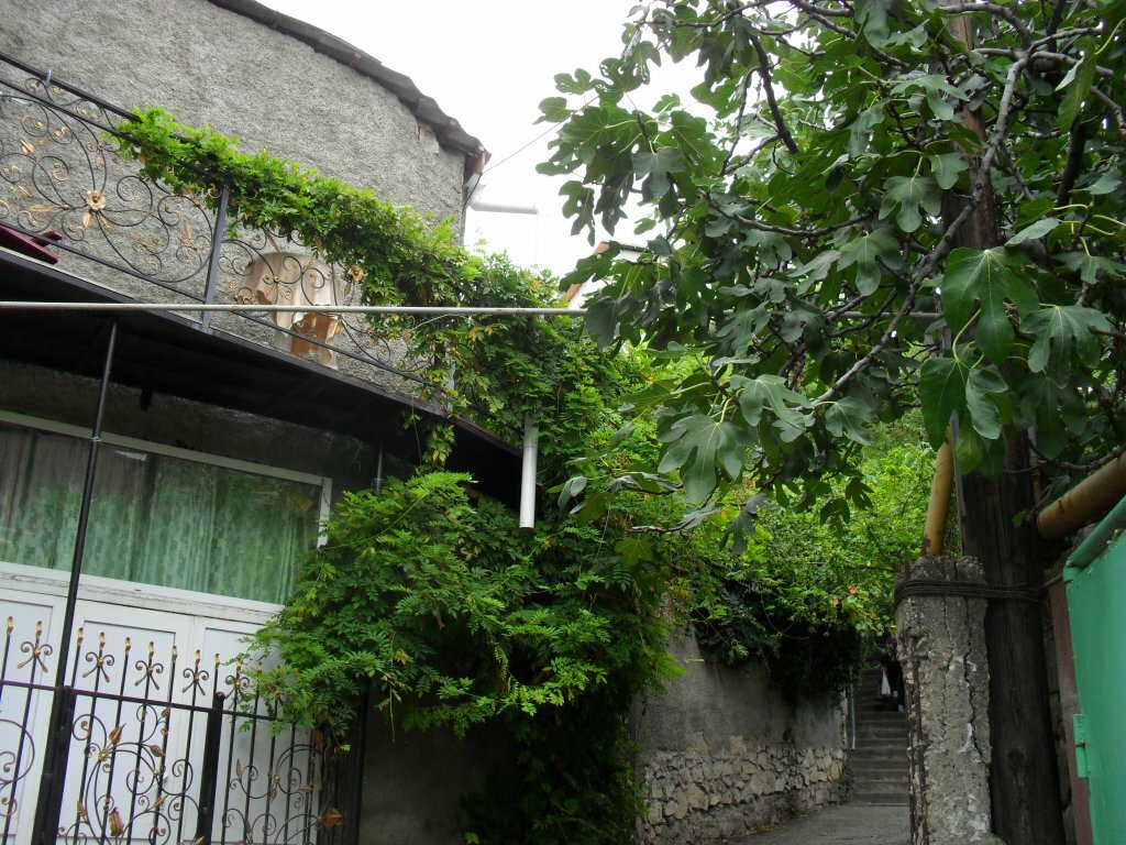 Гостевой дом Волна Алушта-80