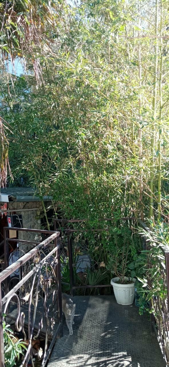 Гостевой дом Волна Алушта-175