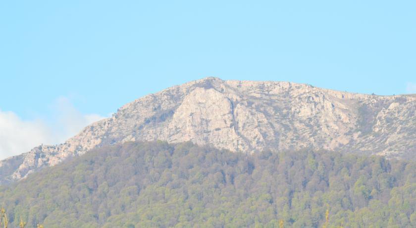 Гостевой дом Волна Алушта