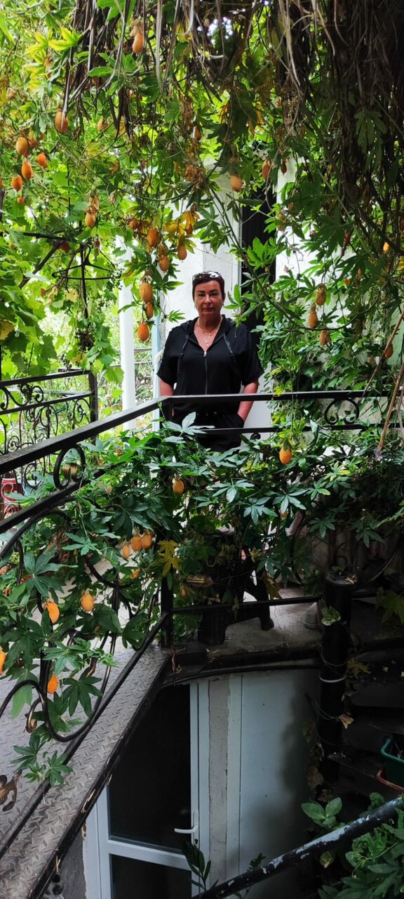 Гостевой дом Волна Алушта-178