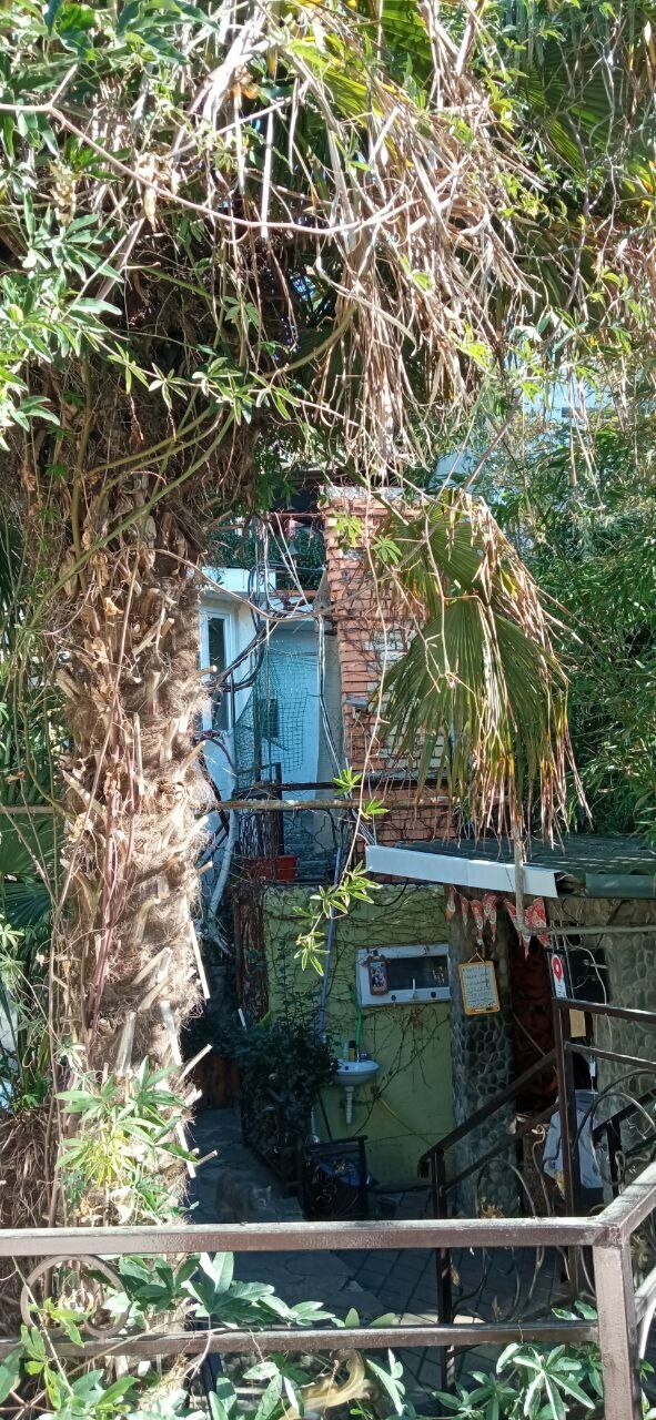 Гостевой дом Волна Алушта-173