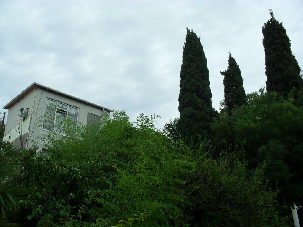 Гостевой дом Волна Алушта-48