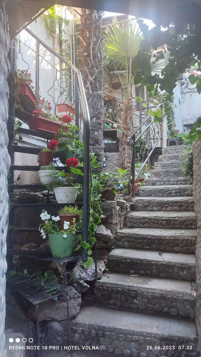 Гостевой дом Волна Алушта-36