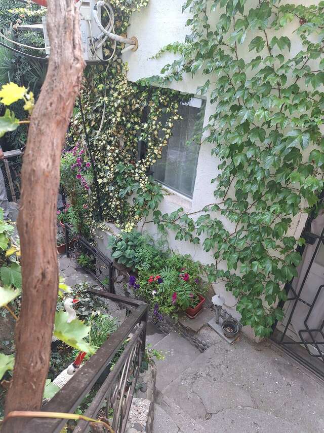 Гостевой дом Волна Алушта-169