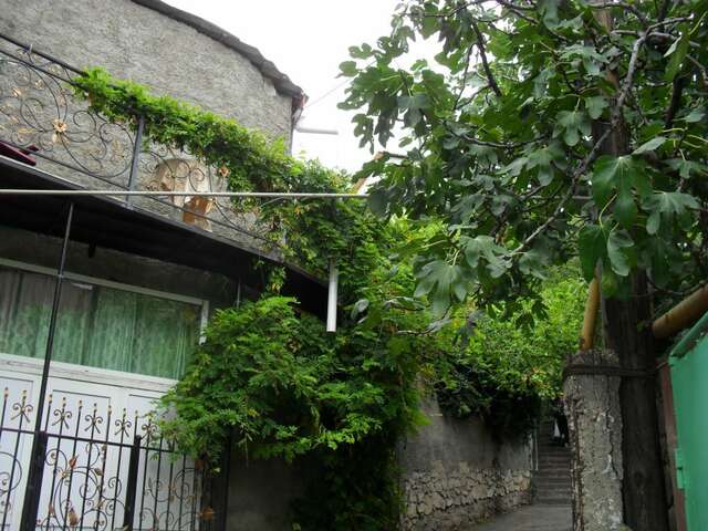 Гостевой дом Волна Алушта-79