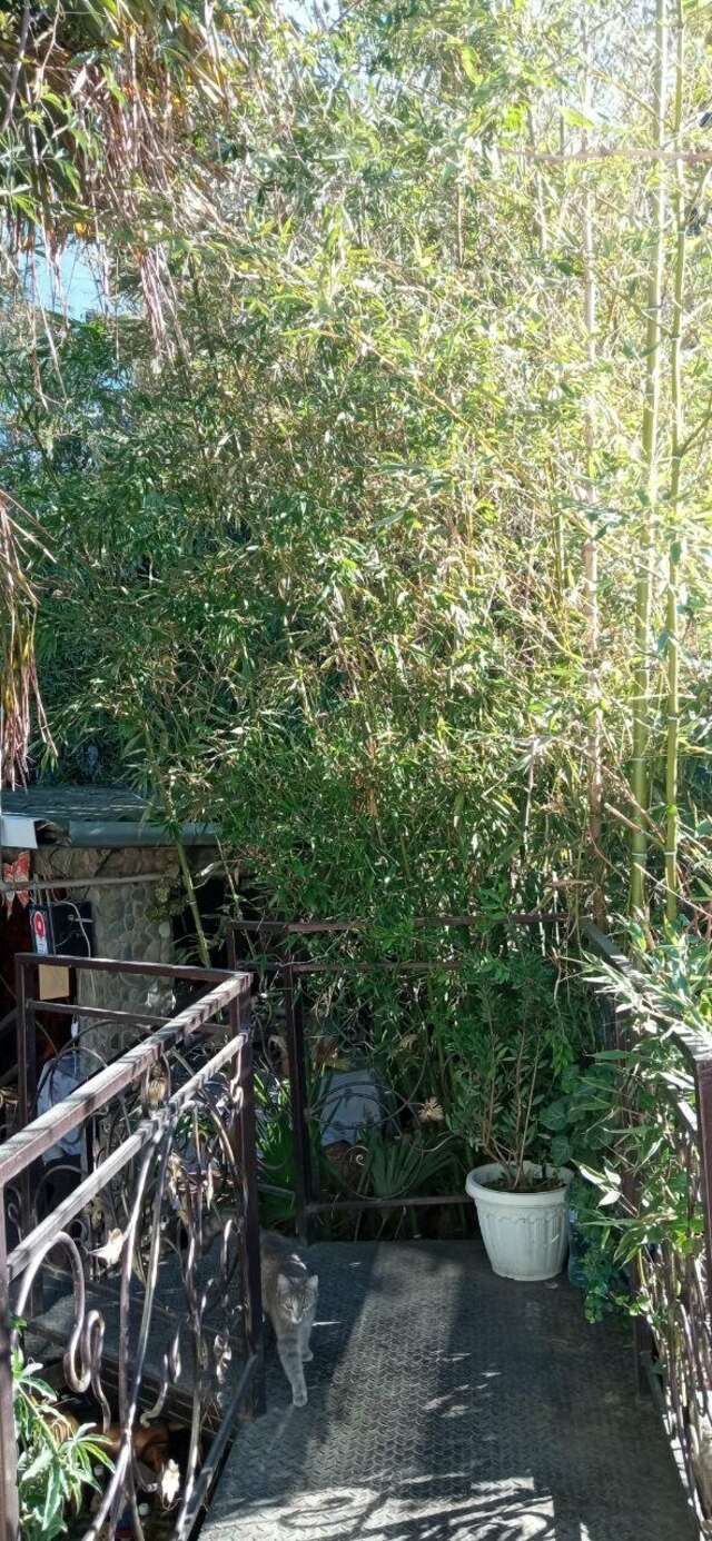 Гостевой дом Волна Алушта-174