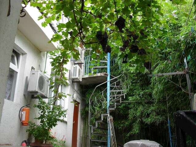 Гостевой дом Волна Алушта-77