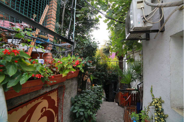 Гостевой дом Волна Алушта-42